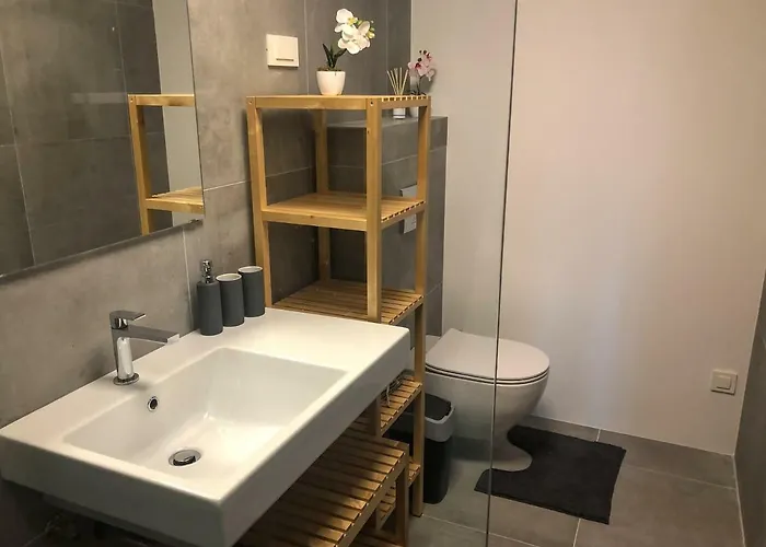 Appartement And Bike Rusovc Kranjska Gora